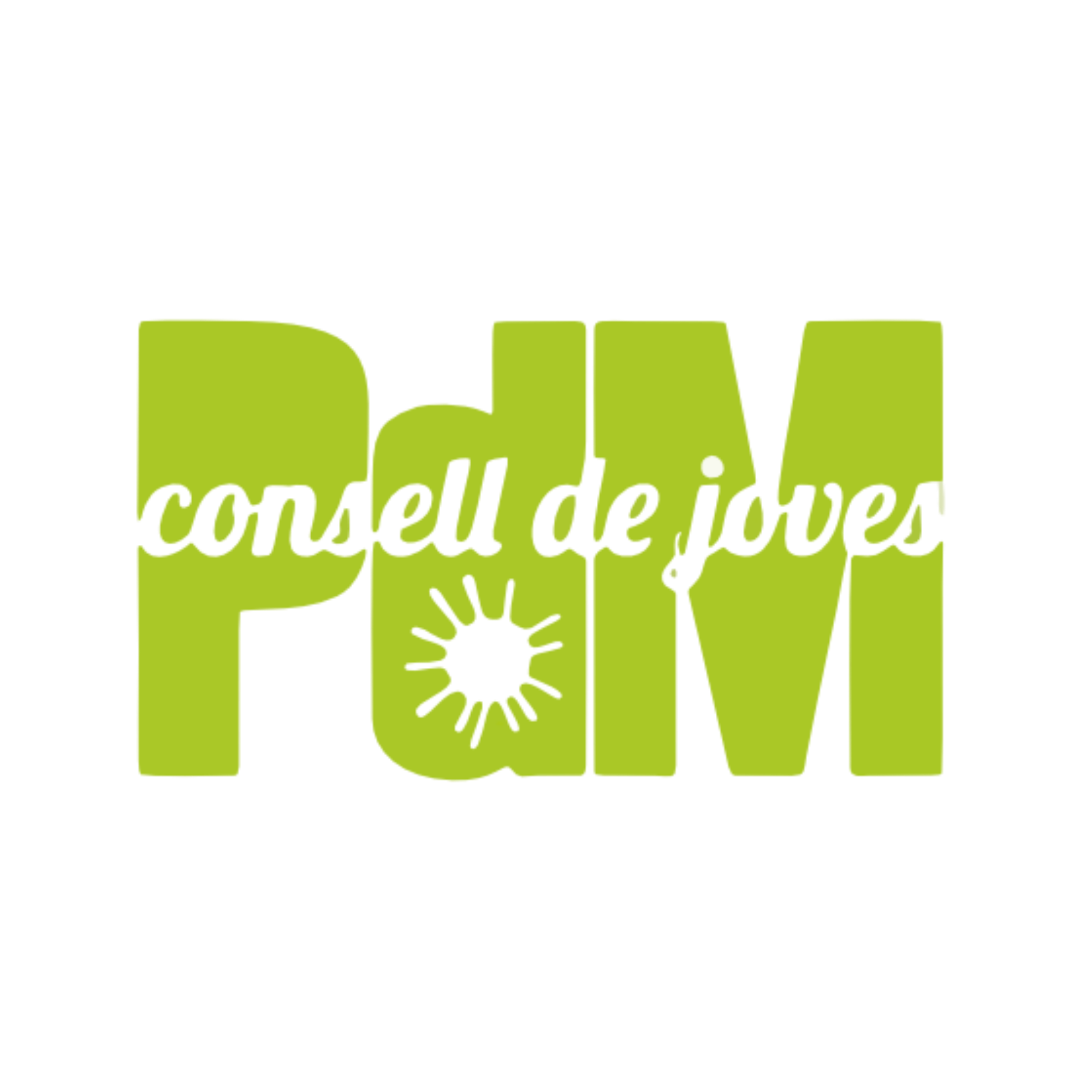 Consell de Joves de Pineda de Mar